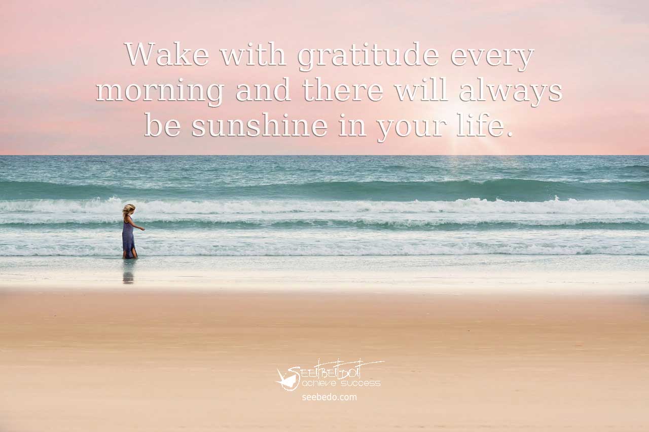 gratitude and sunshine