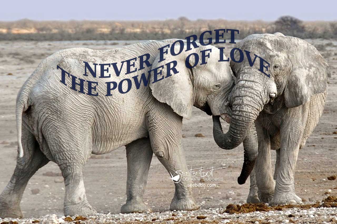 Never forget the power of live