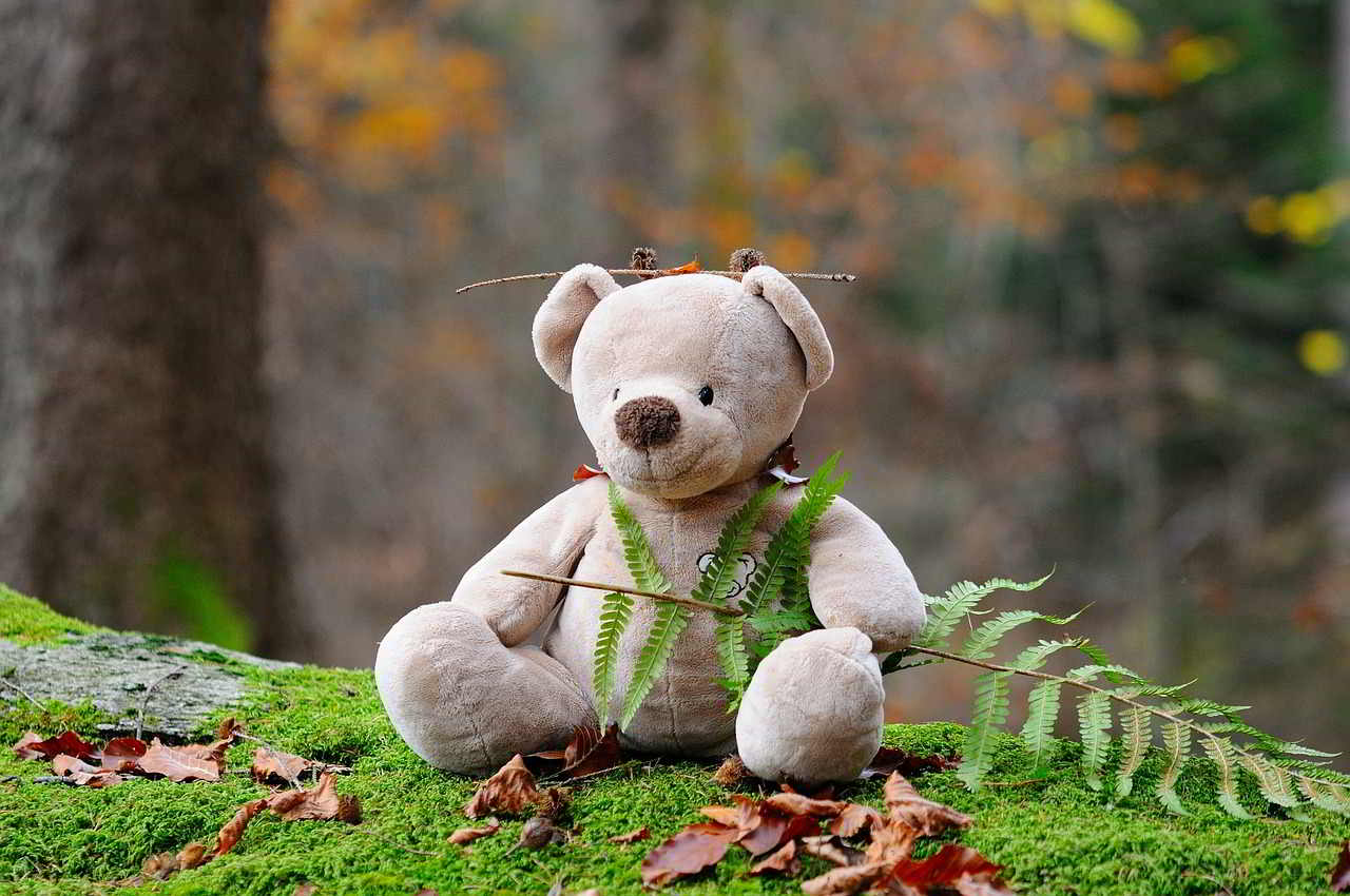 teddy bear mindfulness