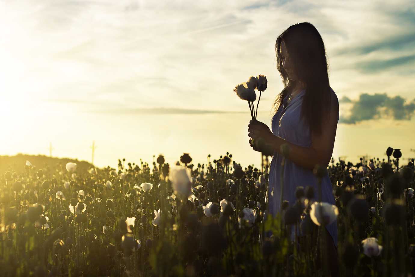 Flowers Mindfulness