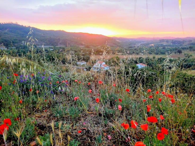 nature coaching sao marcos da serra