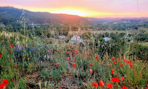 nature coaching sao marcos da serra