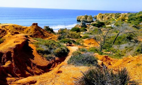 Nature Coaching-Cliff Walk