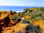 Nature Coaching-Cliff Walk